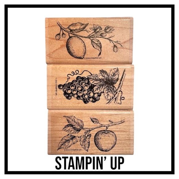 Stampin' Up! Other - Stampin’ Up “Sun Ripened II” Lemon Grape Apple Tree Harvest Rubber Stamp Set